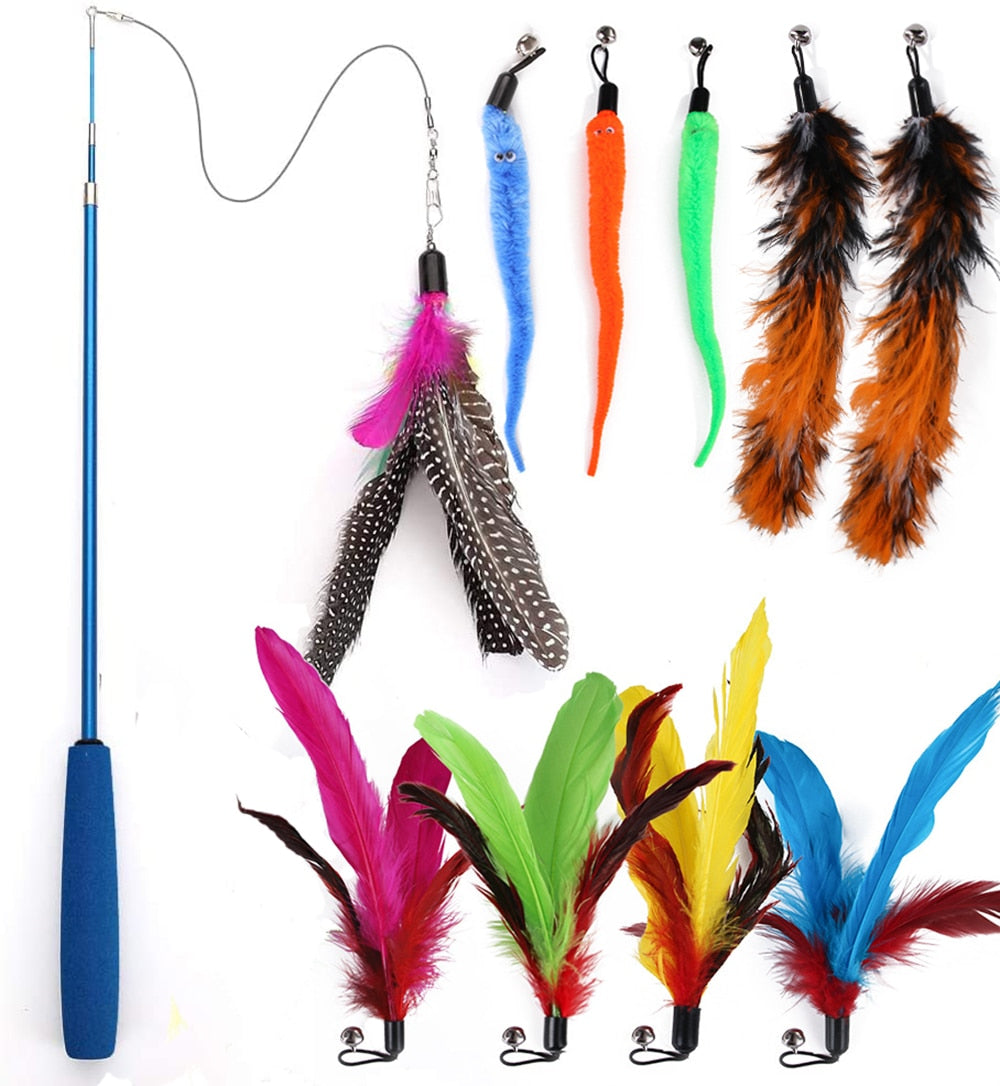 Cat Interactive Toy Feather