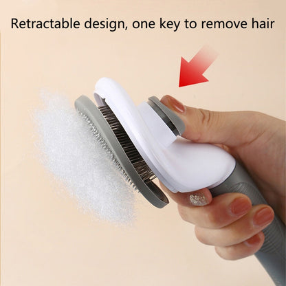 Cat Brush/Hair remover